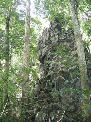 limestone-karst-massif1 The limestone karst massif of Phong Nha Ke Bang