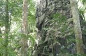 The limestone karst massif of Phong Nha Ke Bang Forest ecosystems