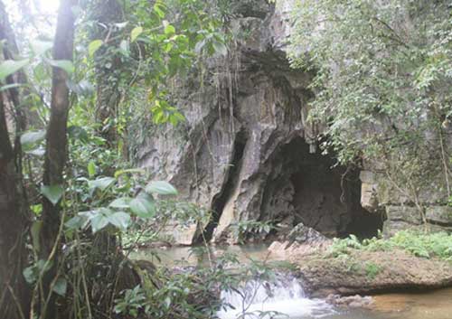 New-cave-in-Quang-Binh New massive cave discovered in Phong Nha Ke Bang