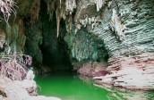 The mysteries of forests in Quang Binh Travel news